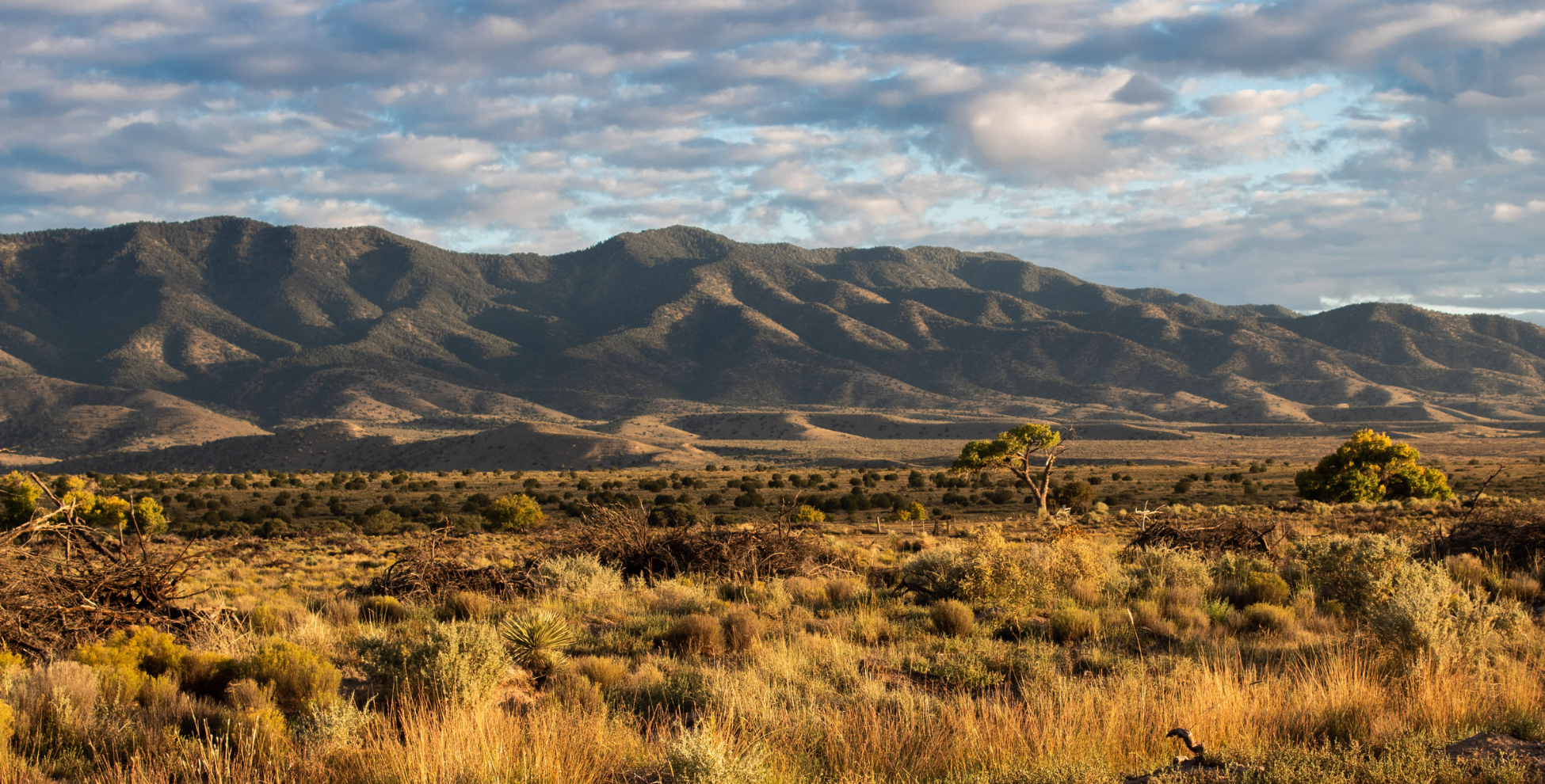 Panoramic view of mountain landscape in Mexico, featuring towering peaks and lush greenery amidst the rolling hills